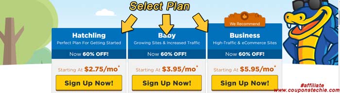 Choose Your Hostgator Plan with discounts